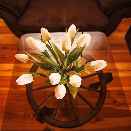Nussdom Nad Samym Jeziorem Holiday home